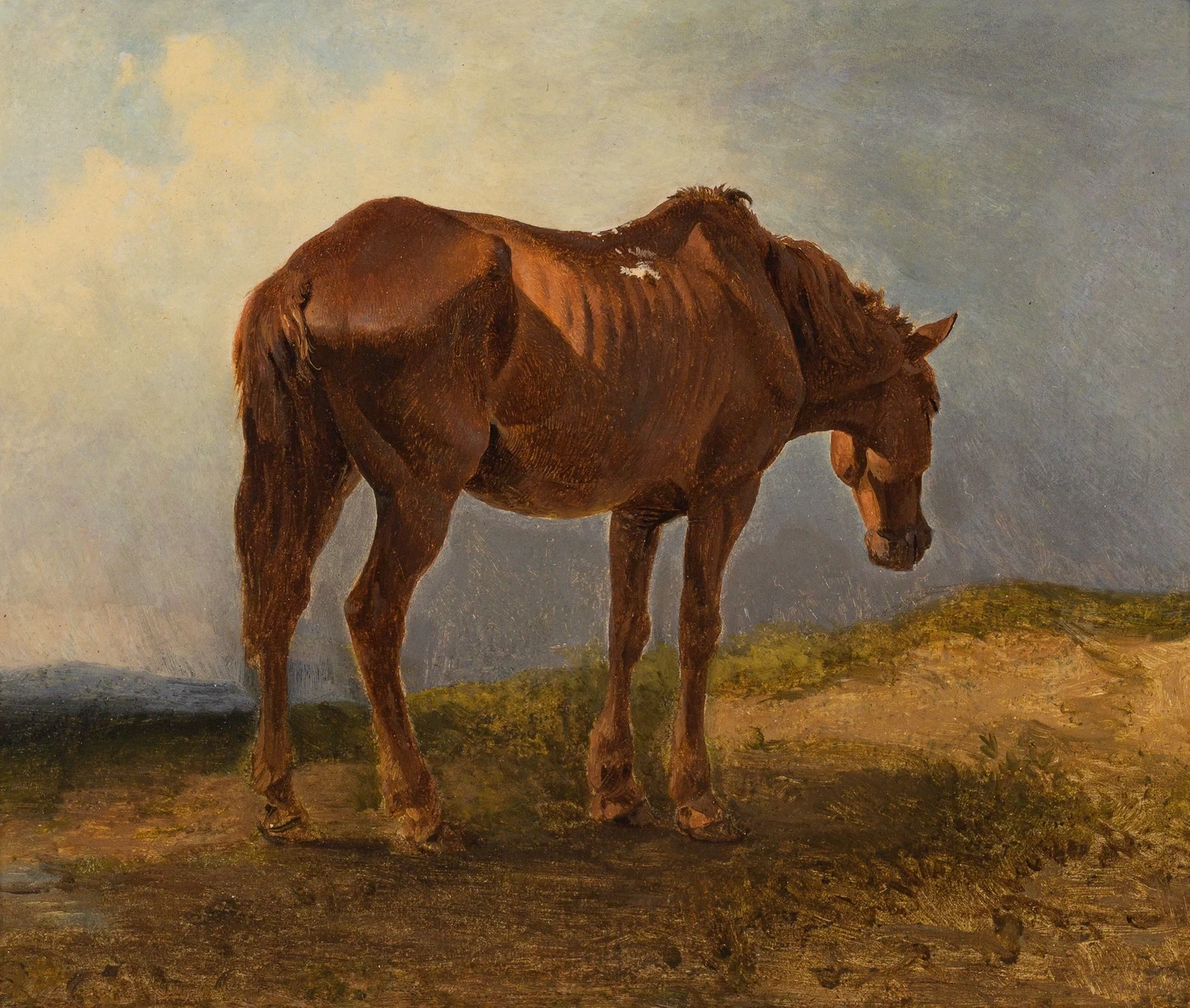 Paesaggio con cavallo